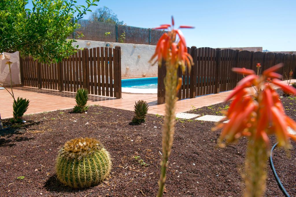 Tuineje Casa Alejandraヴィラ エクステリア 写真